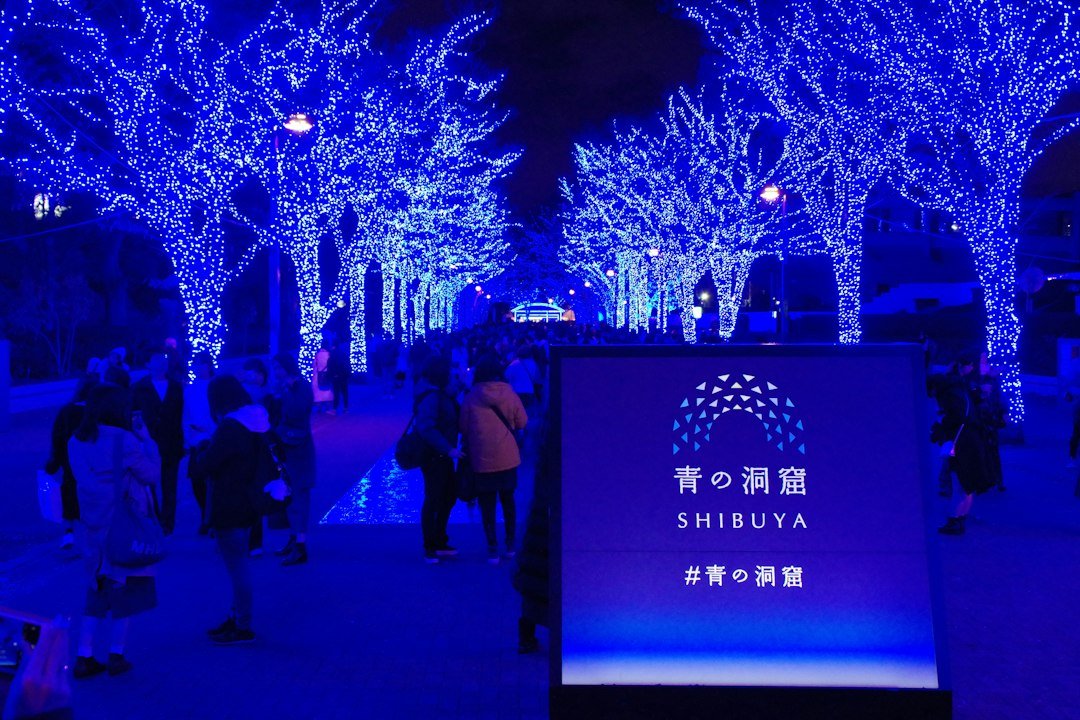 Christmas illuminations in Japan